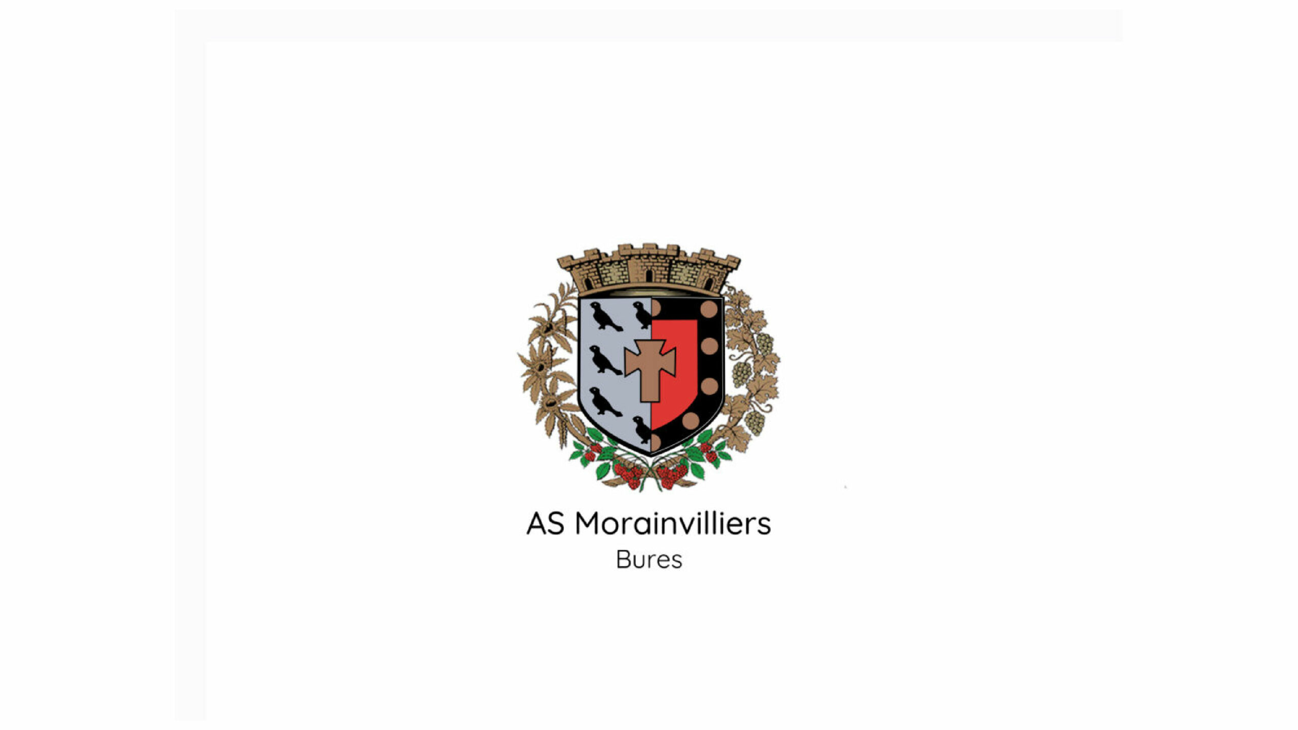 LOGO BASE